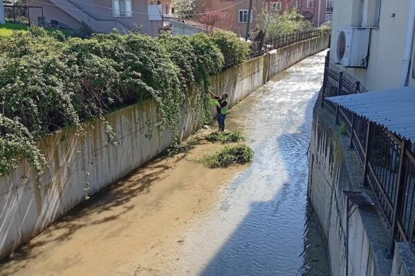 Kurucaşile’de Sinek ve Larvaya Karşı Erken Önlem: Dere Islahı Başladı
